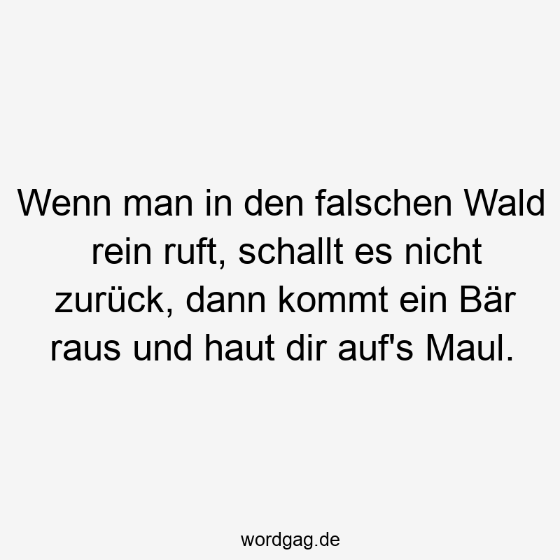 Wenn man in den falschen Wald rein ruft, schallt es nicht zurück, dann kommt ein Bär raus und haut dir auf’s Maul.