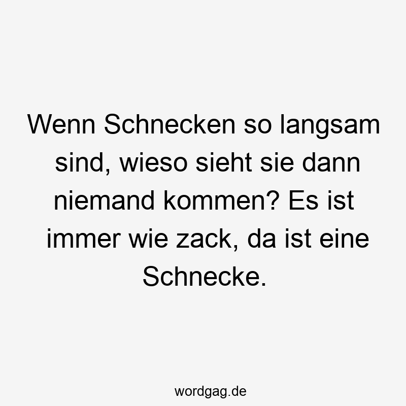 Wenn Schnecken so langsam sind, wieso sieht sie dann niemand kommen? Es ist immer wie zack, da ist eine Schnecke.