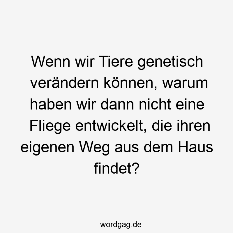Wenn wir Tiere genetisch verändern können, warum haben wir dann nicht eine Fliege entwickelt, die ihren eigenen Weg aus dem Haus findet?