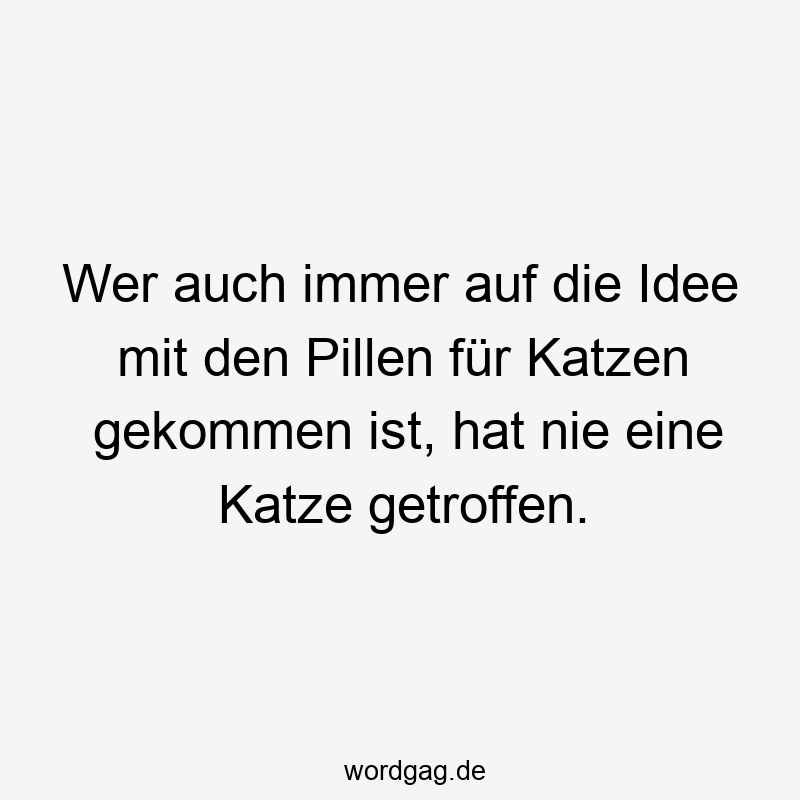 Wer auch immer auf die Idee mit den Pillen für Katzen gekommen ist, hat nie eine Katze getroffen.