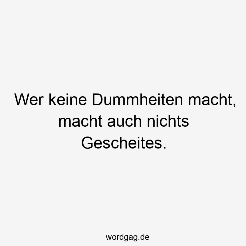 Lustige Sprüche: wer - Wer keine Dummheiten macht, macht auch nichts Gescheites.