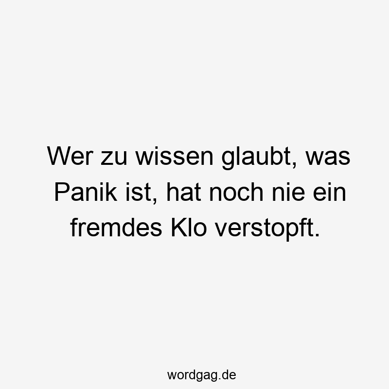 Wer zu wissen glaubt, was Panik ist, hat noch nie ein fremdes Klo verstopft.