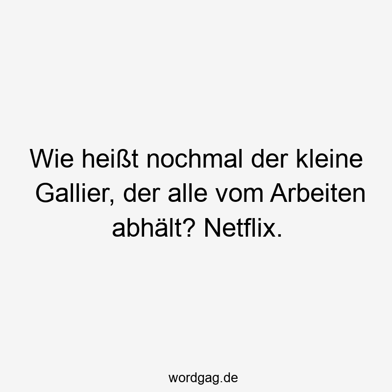 Wie heißt nochmal der kleine Gallier, der alle vom Arbeiten abhält? Netflix.