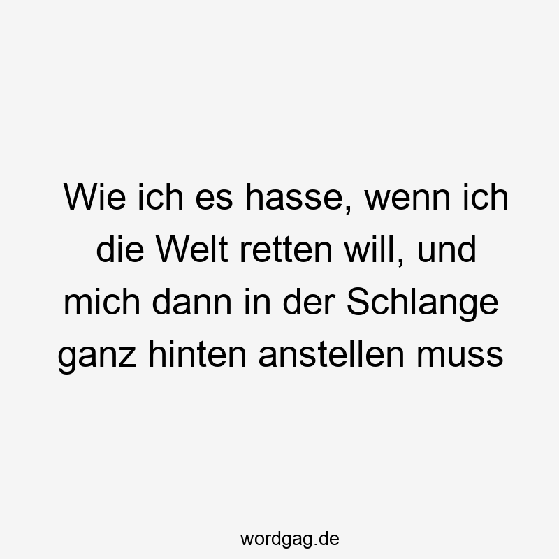 Wie ich es hasse, wenn ich die Welt retten will, und mich dann in der Schlange ganz hinten anstellen muss