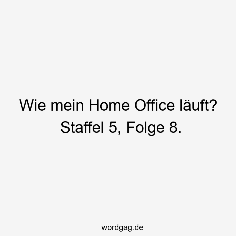 Wie mein Home Office läuft? Staffel 5, Folge 8.