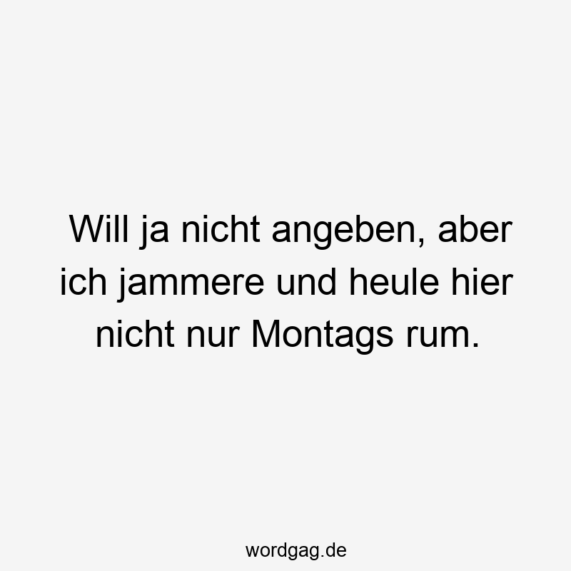 39 Lustige angeben Sprüche - Will ja nicht angeben, aber ich jammere und heule hier nicht nur Montags rum.