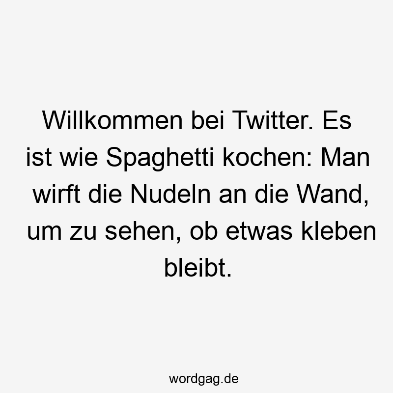 Willkommen bei Twitter. Es ist wie Spaghetti kochen: Man wirft die Nudeln an die Wand, um zu sehen, ob etwas kleben bleibt.