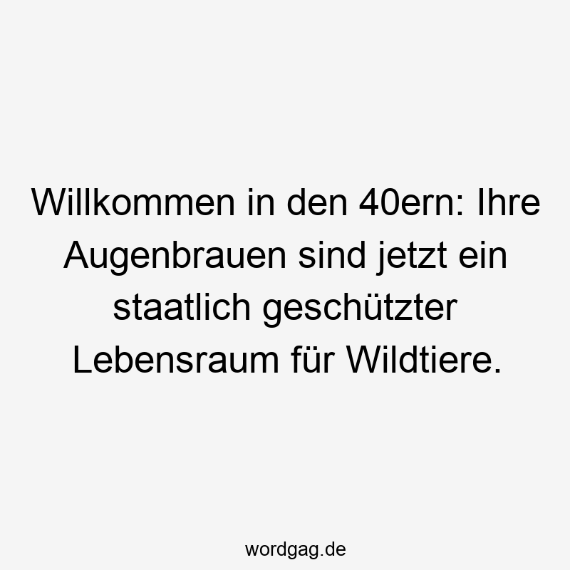 Willkommen in den 40ern: Ihre Augenbrauen sind jetzt ein staatlich geschützter Lebensraum für Wildtiere.