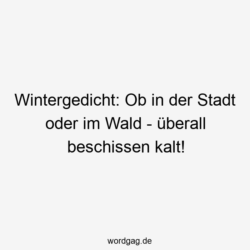Wintergedicht: Ob in der Stadt oder im Wald – überall beschissen kalt!