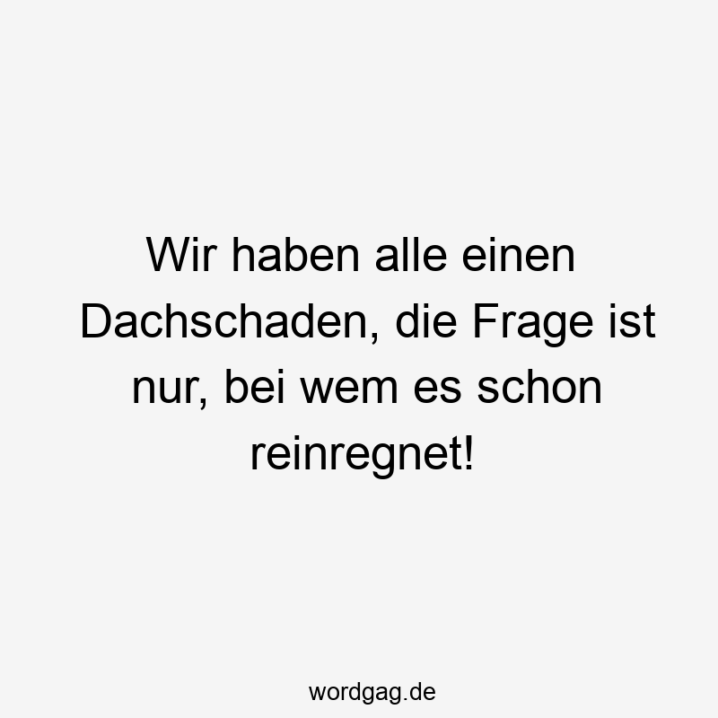 Wir haben alle einen Dachschaden, die Frage ist nur, bei wem es schon reinregnet!