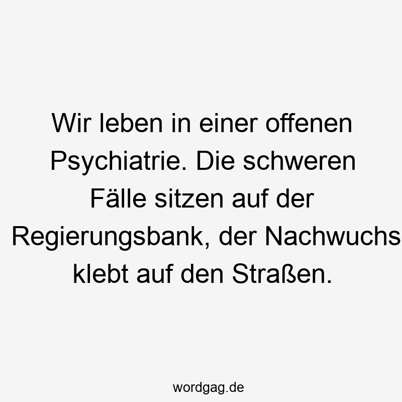 Wir leben in einer offenen Psychiatrie. Die schweren Fälle sitzen auf der Regierungsbank, der Nachwuchs klebt auf den Straßen.