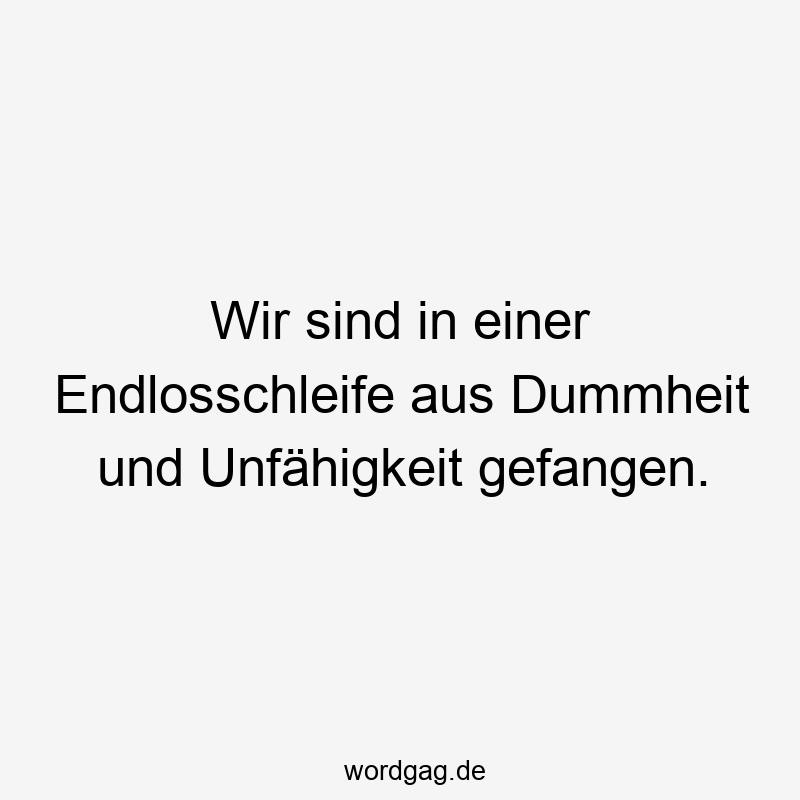 Wir sind in einer Endlosschleife aus Dummheit und Unfähigkeit gefangen.