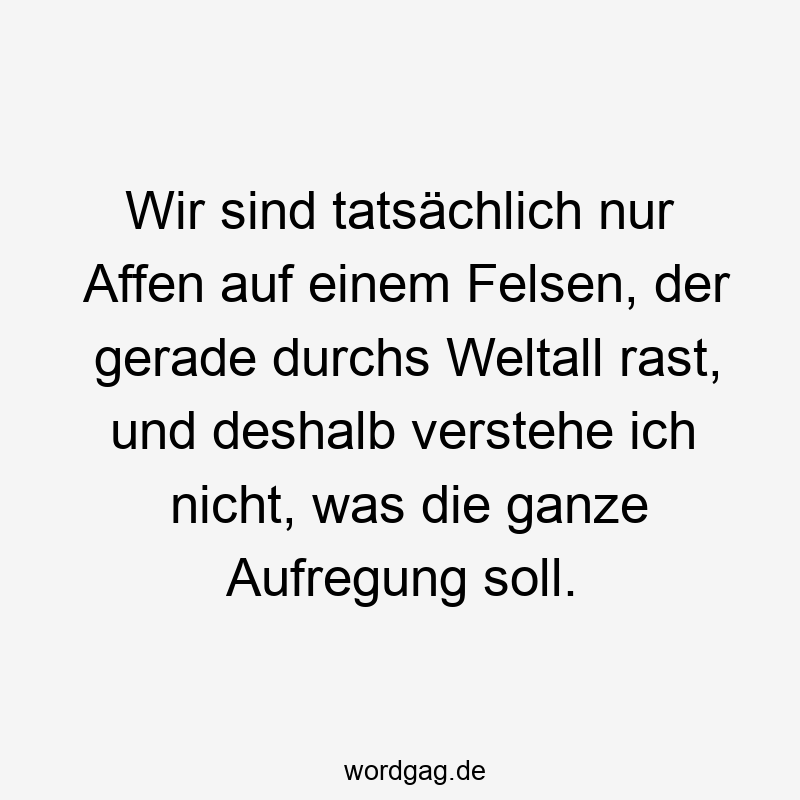 Wir sind tatsächlich nur Affen auf einem Felsen, der gerade durchs Weltall rast, und deshalb verstehe ich nicht, was die ganze Aufregung soll.