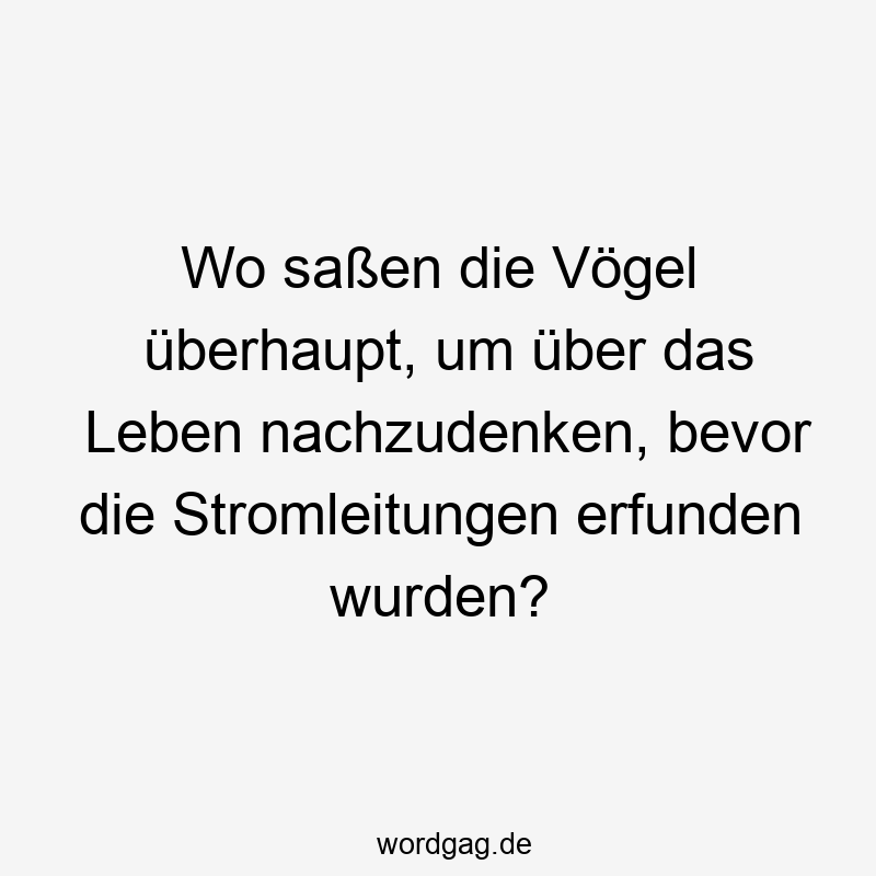 Lustige Sprüche: Natur - Wo saßen die Vögel überhaupt, um über das Leben nachzudenken, bevor die Stromleitungen erfunden wurden?