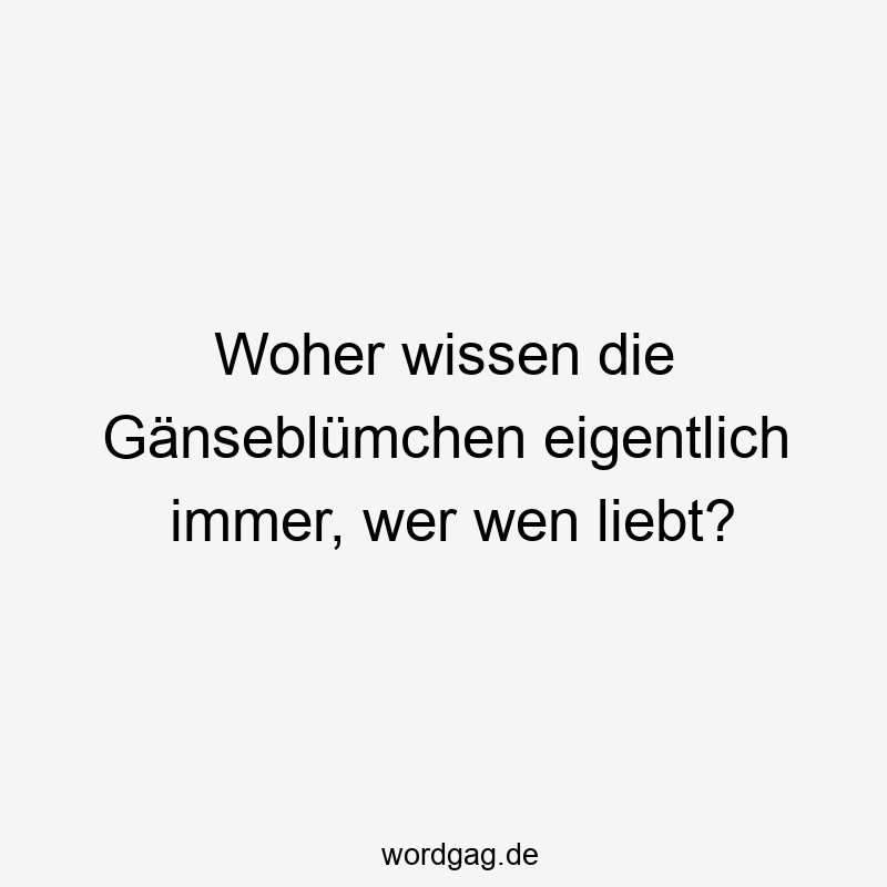Woher wissen die Gänseblümchen eigentlich immer, wer wen liebt?