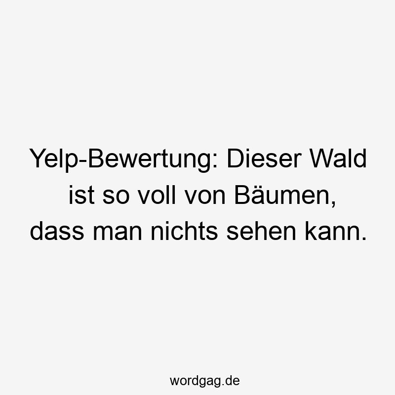 Yelp-Bewertung: Dieser Wald ist so voll von Bäumen, dass man nichts sehen kann.