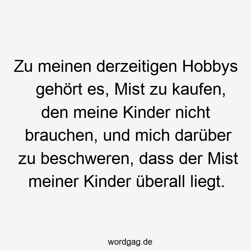 Zu meinen derzeitigen Hobbys gehört es, Mist zu kaufen, den meine Kinder nicht brauchen, und mich darüber zu beschweren, dass der Mist meiner Kinder überall liegt.