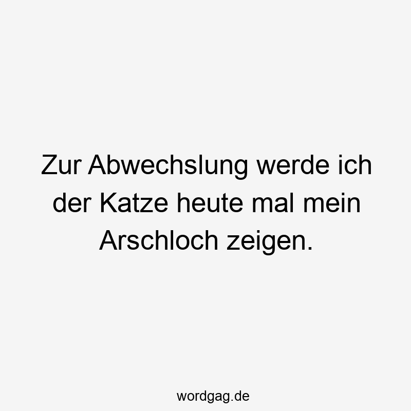 Zur Abwechslung werde ich der Katze heute mal mein Arschloch zeigen.