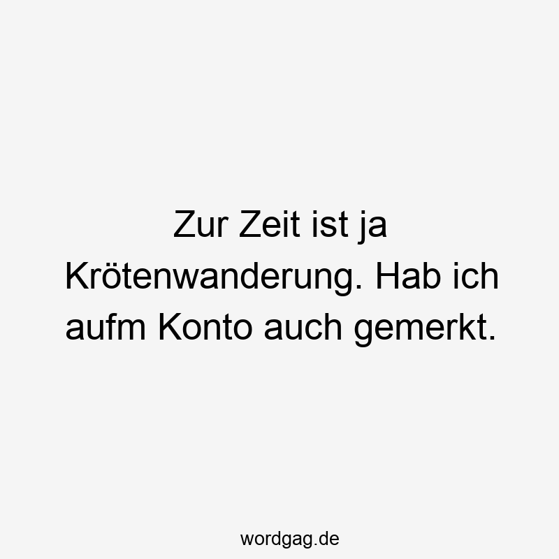 38 Lustige Konto Sprüche - Zur Zeit ist ja Krötenwanderung. Hab ich aufm Konto auch gemerkt.
