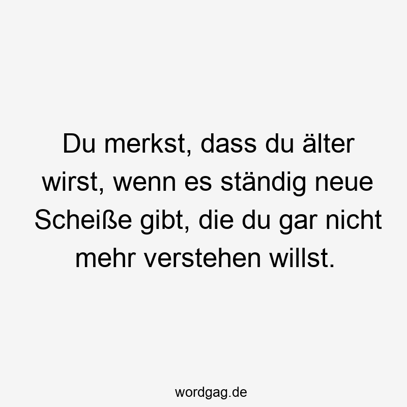 Du merkst, dass du älter wirst, wenn es ständig neue Scheiße gibt, die du gar nicht mehr verstehen willst.