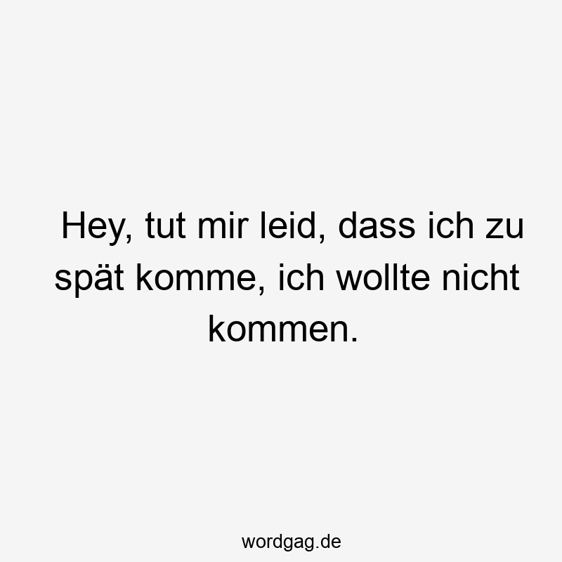 Lustige Sprüche: kommen - Hey, tut mir leid, dass ich zu spät komme, ich wollte nicht kommen.