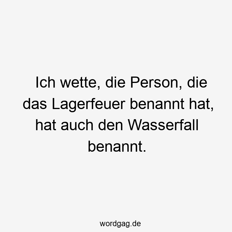 Ich wette, die Person, die das Lagerfeuer benannt hat, hat auch den Wasserfall benannt.