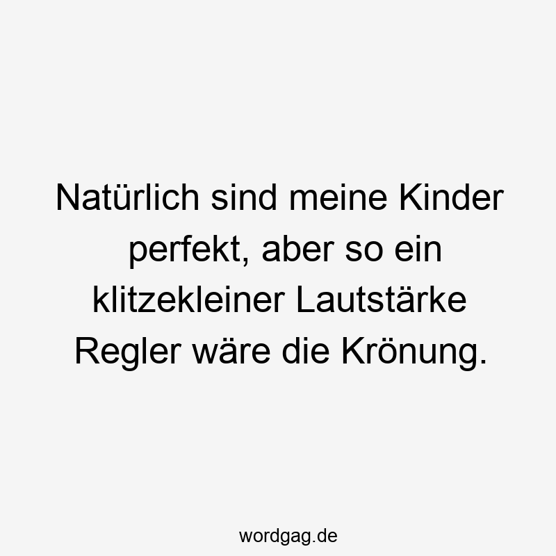 Lustige Sprüche: Lautstärke - Natürlich sind meine Kinder perfekt, aber so ein klitzekleiner Lautstärke Regler wäre die Krönung.