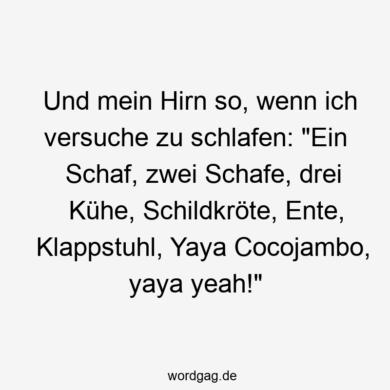 Und mein Hirn so, wenn ich versuche zu schlafen: „Ein Schaf, zwei Schafe, drei Kühe, Schildkröte, Ente, Klappstuhl, Yaya Cocojambo, yaya yeah!“