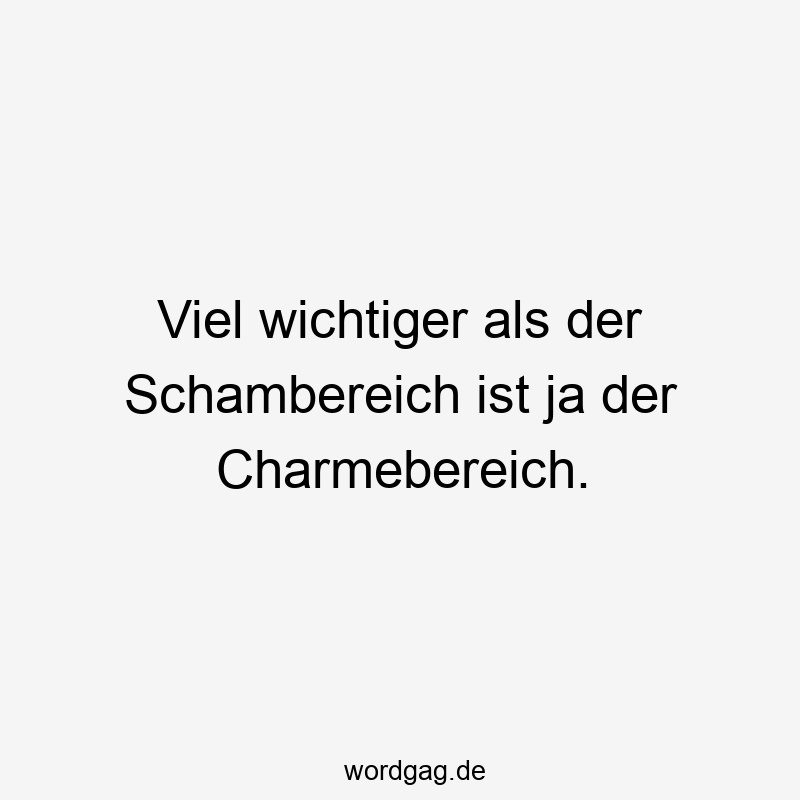 Viel wichtiger als der Schambereich ist ja der Charmebereich.