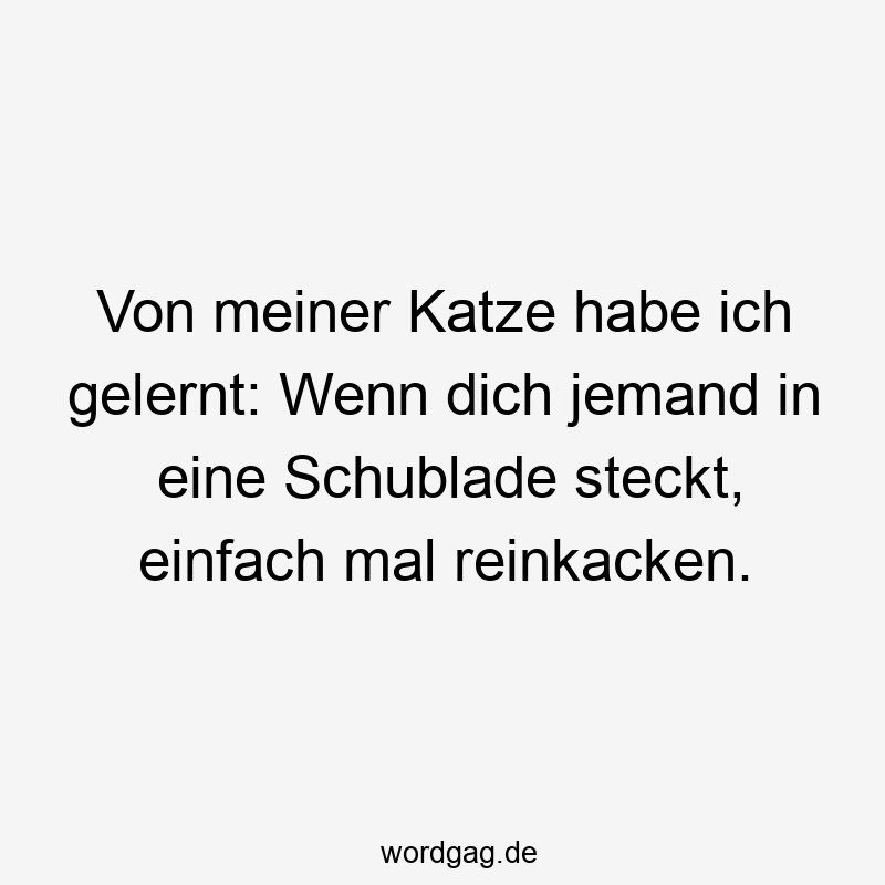 Von meiner Katze habe ich gelernt: Wenn dich jemand in eine Schublade steckt, einfach mal reinkacken.