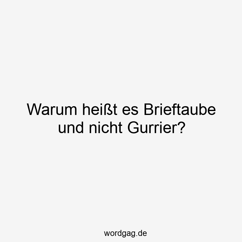 Warum heißt es Brieftaube und nicht Gurrier?