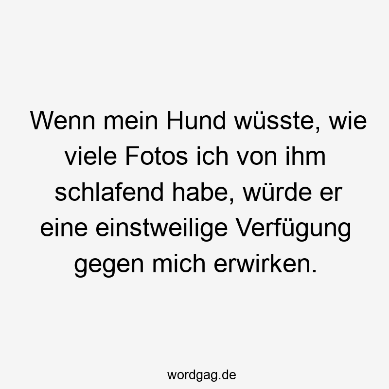203 Lustige viele Sprüche - Wenn mein Hund wüsste, wie viele Fotos ich von ihm schlafend habe, würde er eine einstweilige Verfügung gegen mich erwirken.