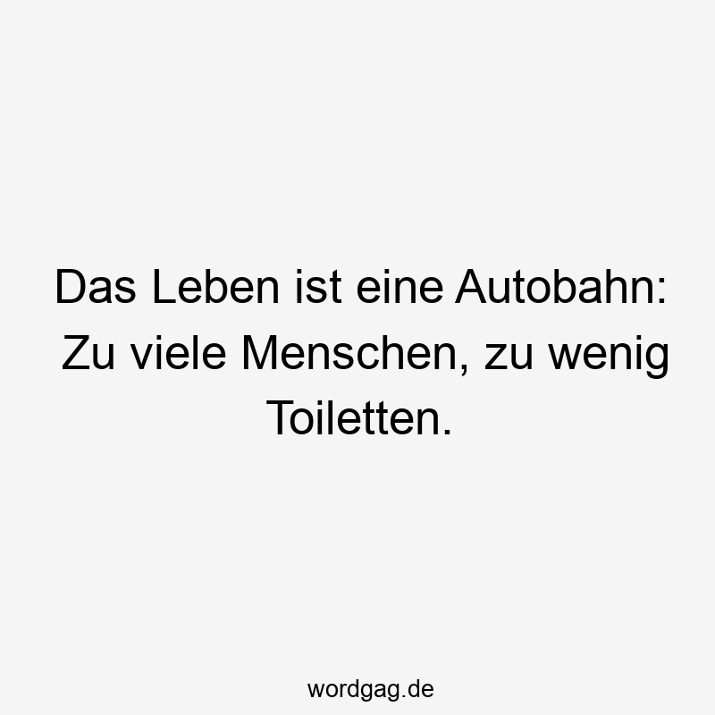 203 Lustige viele Sprüche - Das Leben ist eine Autobahn: Zu viele Menschen, zu wenig Toiletten.