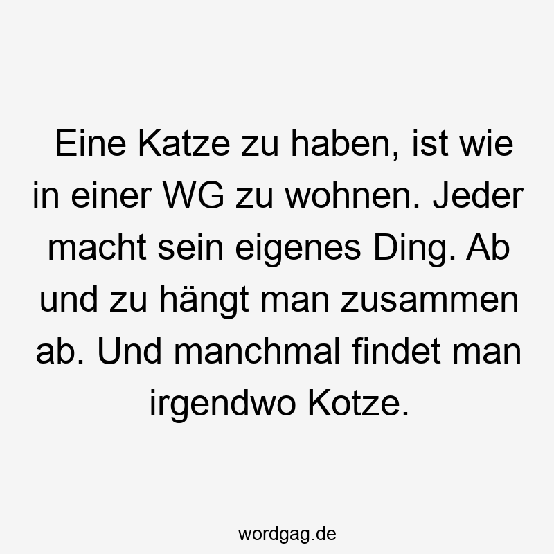 Eine Katze zu haben, ist wie in einer WG zu wohnen. Jeder macht sein eigenes Ding. Ab und zu hängt man zusammen ab. Und manchmal findet man irgendwo Kotze.