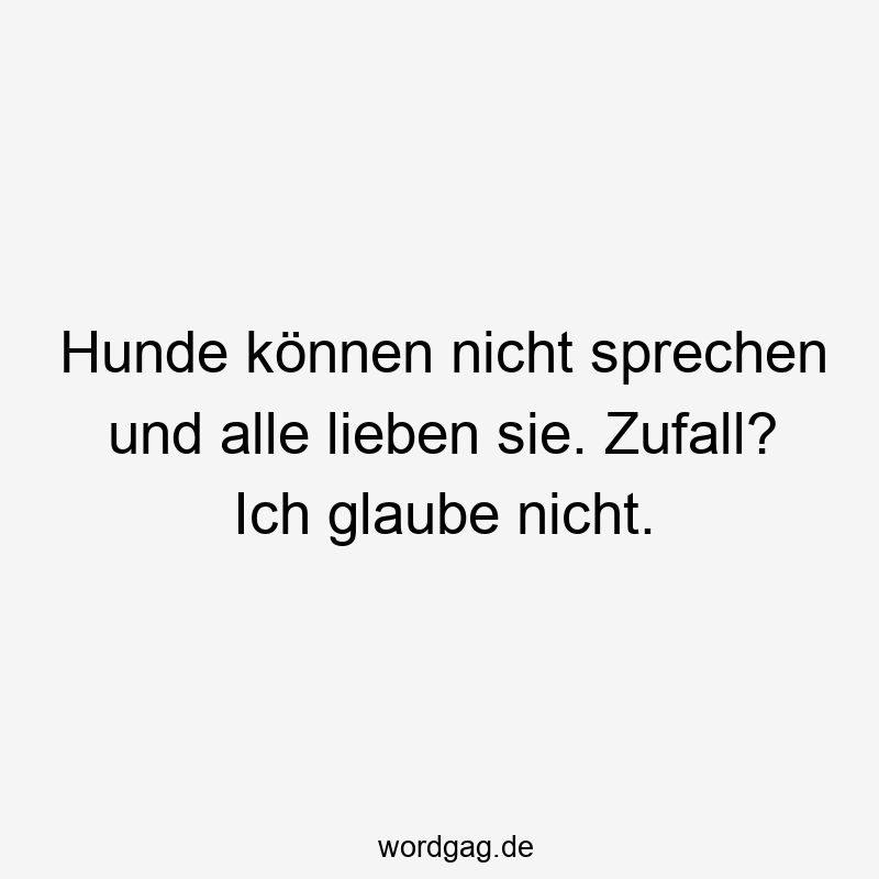 Hunde können nicht sprechen und alle lieben sie. Zufall? Ich glaube nicht.