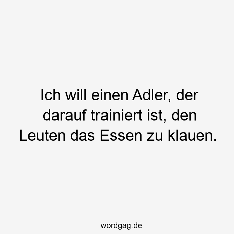 Ich will einen Adler, der darauf trainiert ist, den Leuten das Essen zu klauen.