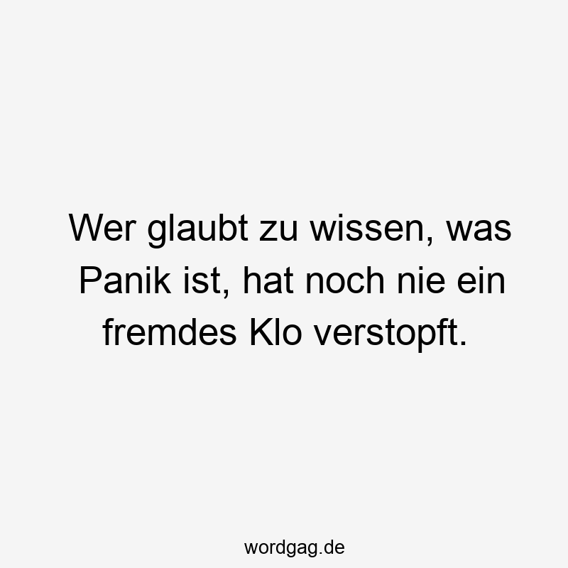 Lustige Sprüche: wer - Wer glaubt zu wissen, was Panik ist, hat noch nie ein fremdes Klo verstopft.