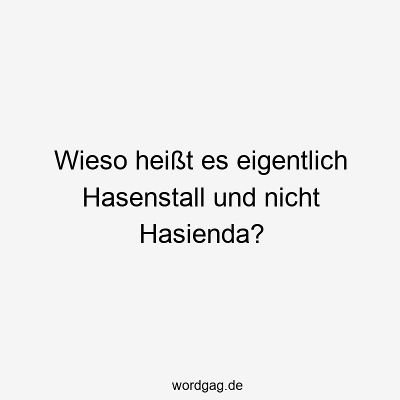 Wieso heißt es eigentlich Hasenstall und nicht Hasienda?