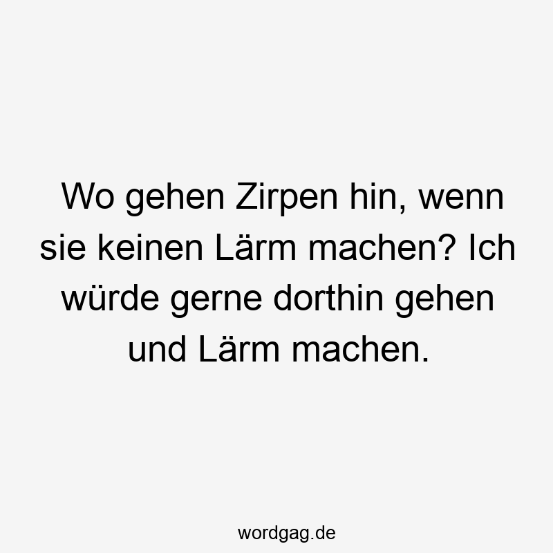 Wo gehen Zirpen hin, wenn sie keinen Lärm machen? Ich würde gerne dorthin gehen und Lärm machen.