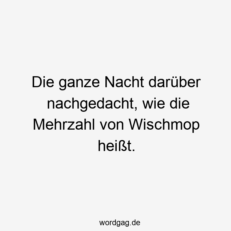 Die ganze Nacht darüber nachgedacht, wie die Mehrzahl von Wischmop heißt.
