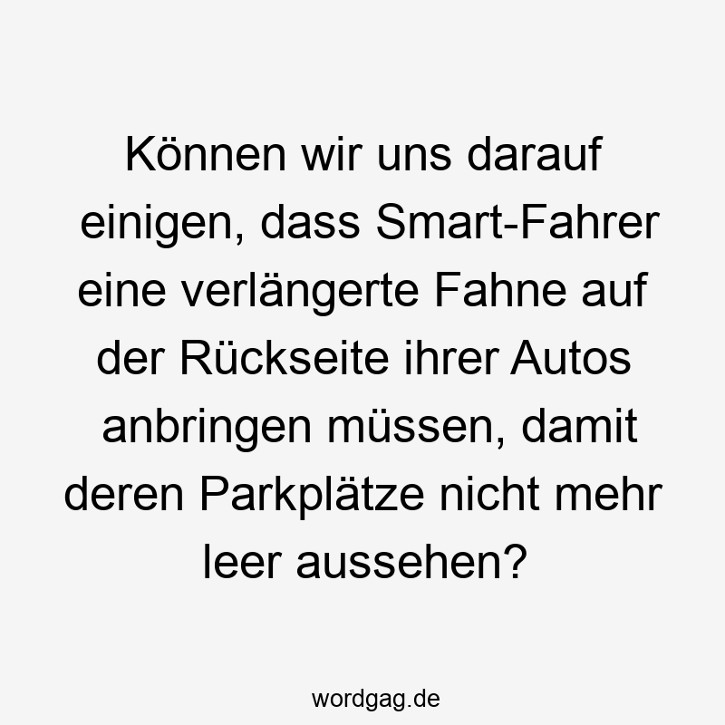 Können wir uns darauf einigen, dass Smart-Fahrer eine verlängerte Fahne auf der Rückseite ihrer Autos anbringen müssen, damit deren Parkplätze nicht mehr leer aussehen?