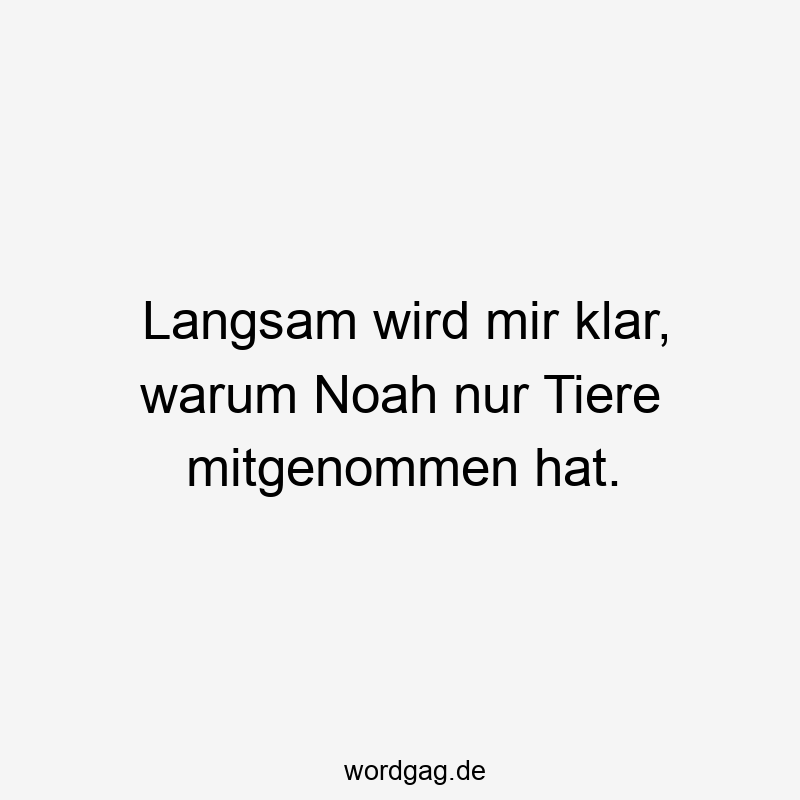 Langsam wird mir klar, warum Noah nur Tiere mitgenommen hat.