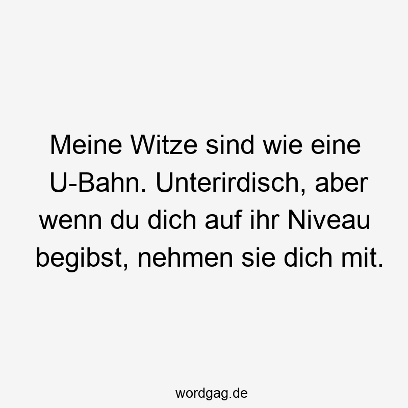 Meine Witze sind wie eine U-Bahn. Unterirdisch, aber wenn du dich auf ihr Niveau begibst, nehmen sie dich mit.