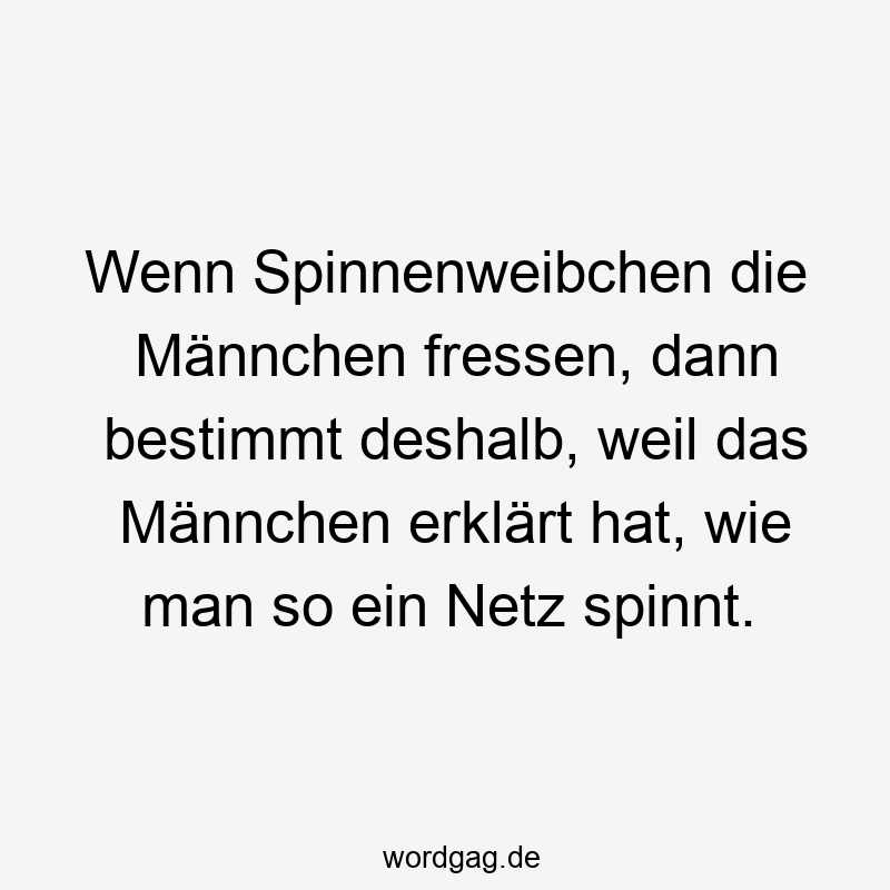 Lustige Sprüche: Spinnen - Wenn Spinnenweibchen die Männchen fressen, dann bestimmt deshalb, weil das Männchen erklärt hat, wie man so ein Netz spinnt.