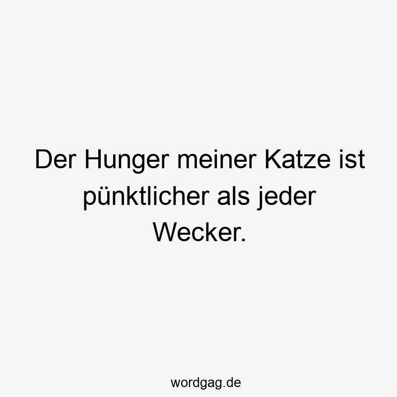 pünktlich - Der Hunger meiner Katze ist pünktlicher als jeder Wecker.