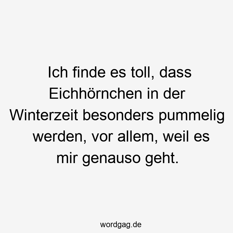 Ich finde es toll, dass Eichhörnchen in der Winterzeit besonders pummelig werden, vor allem, weil es mir genauso geht.