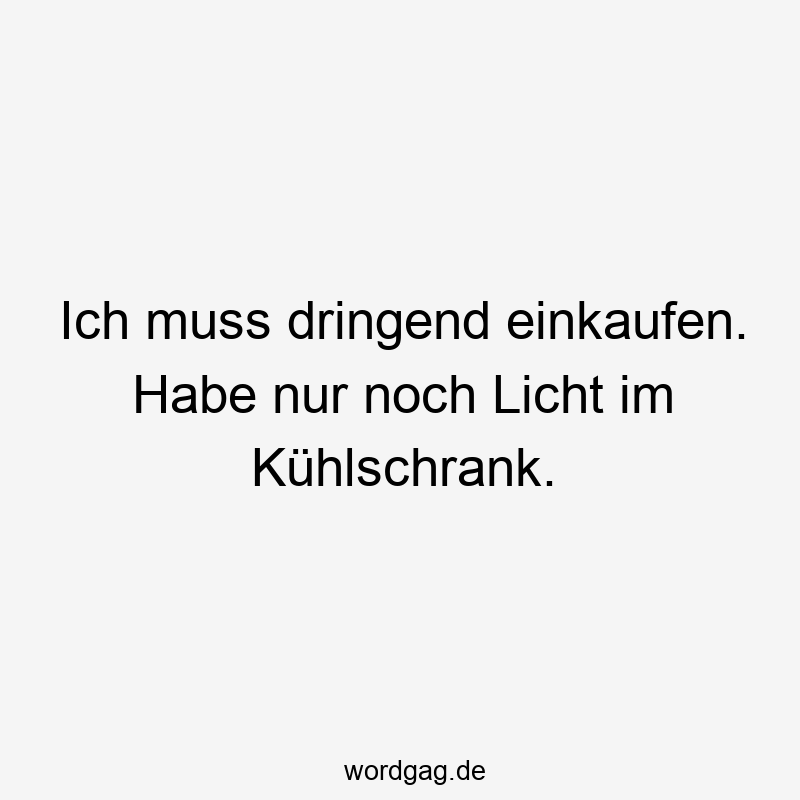 Ich muss dringend einkaufen. Habe nur noch Licht im Kühlschrank.