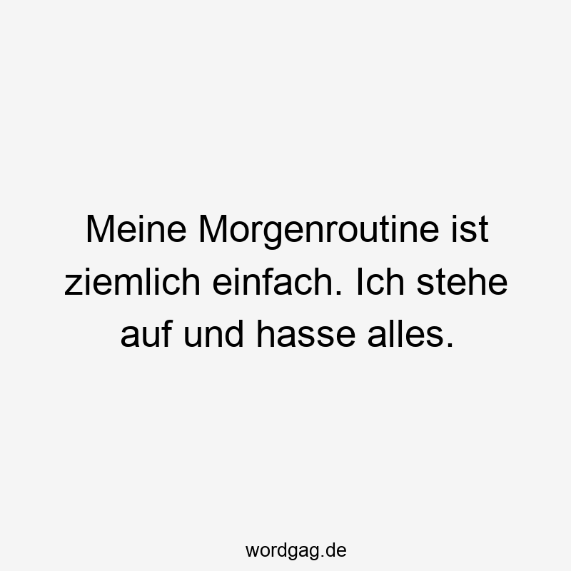 Meine Morgenroutine ist ziemlich einfach. Ich stehe auf und hasse alles.