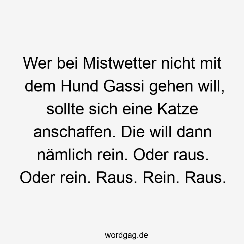 Wer bei Mistwetter nicht mit dem Hund Gassi gehen will, sollte sich eine Katze anschaffen. Die will dann nämlich rein. Oder raus. Oder rein. Raus. Rein. Raus.