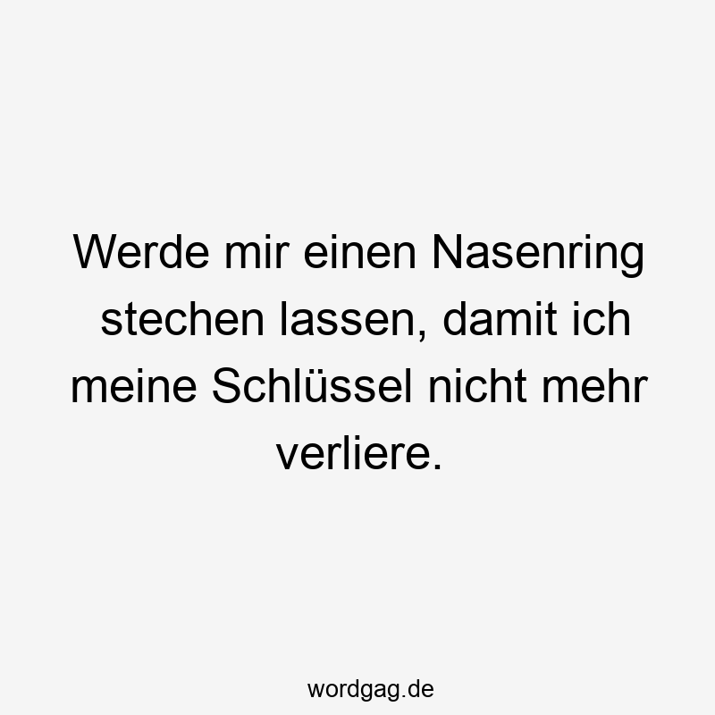 Werde mir einen Nasenring stechen lassen, damit ich meine Schlüssel nicht mehr verliere.